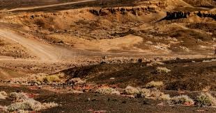 凌晨4点欧冠超级对决！阿隆索命运之战：输球或下课 8人缺席